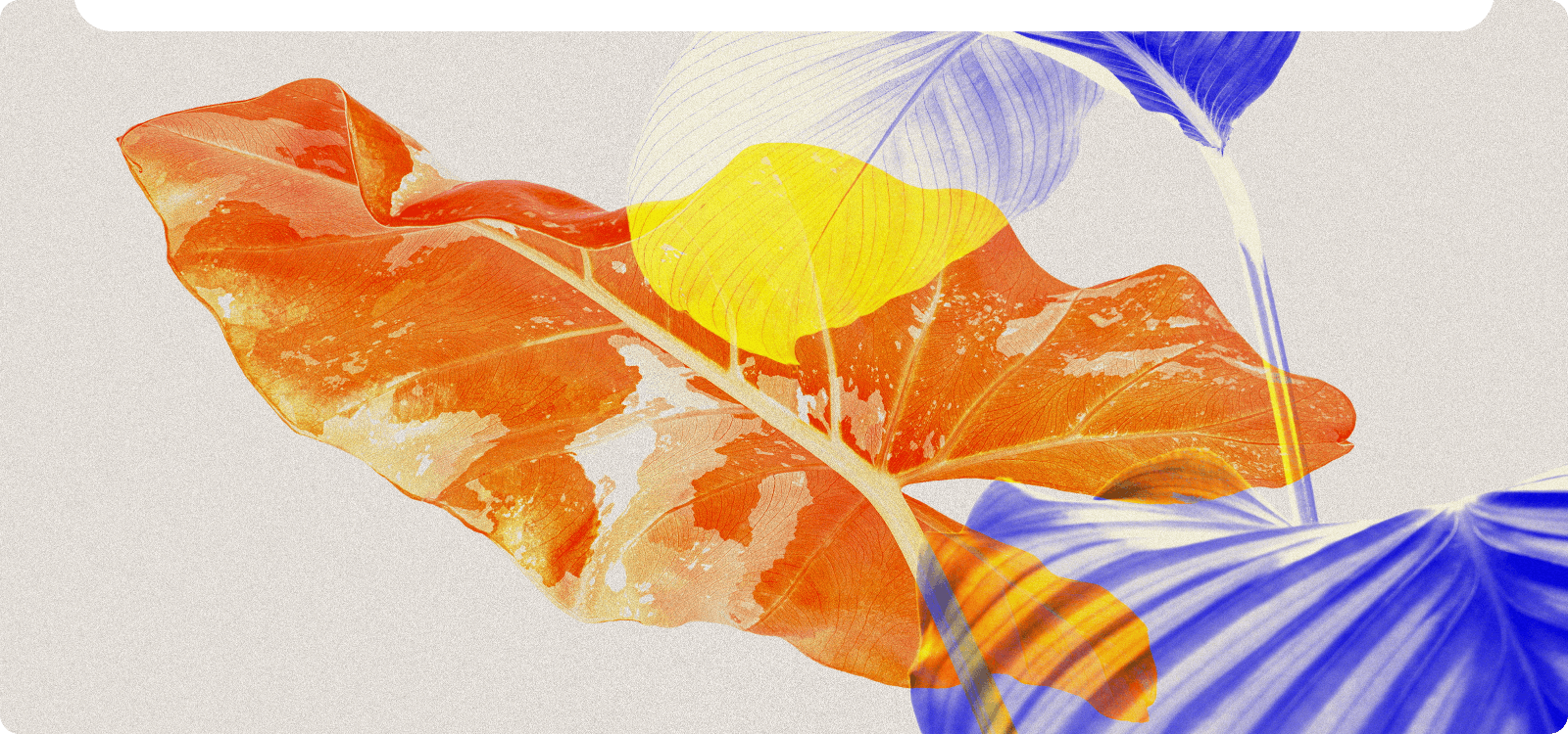 Descrive immagini AI per la ricreazione di opere d'arte